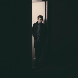 Cape Cub Bushstock 2016