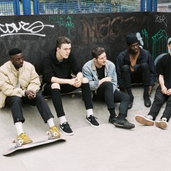 Haus Bushstock 2016