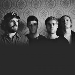 Palace Bushstock 2016