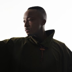 Rationale Bushstock 2016