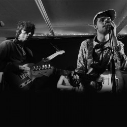 Tibet Bushstock 2016