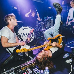 Vant Bushstock 2016